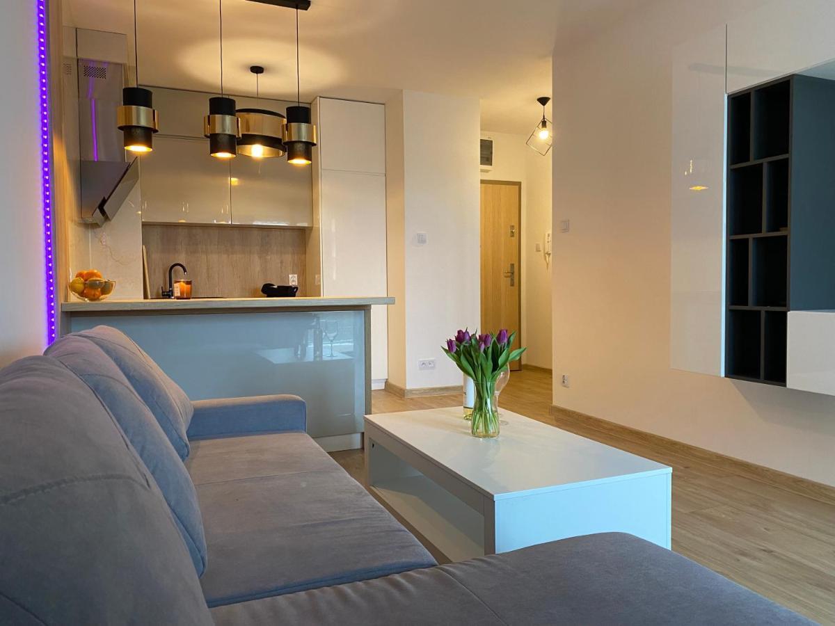 Comfortable Apartaments & Free Parking Gorzow Wielkopolski Dış mekan fotoğraf
